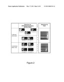 Method For The Extraction And Purification Of Nucleic Acids On A Membrane diagram and image