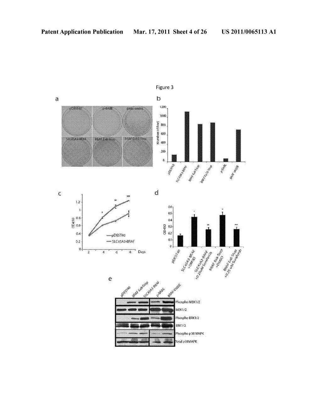 RECURRENT GENE FUSIONS IN PROSTATE CANCER - diagram, schematic, and image 05