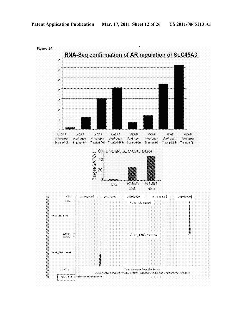 RECURRENT GENE FUSIONS IN PROSTATE CANCER - diagram, schematic, and image 13