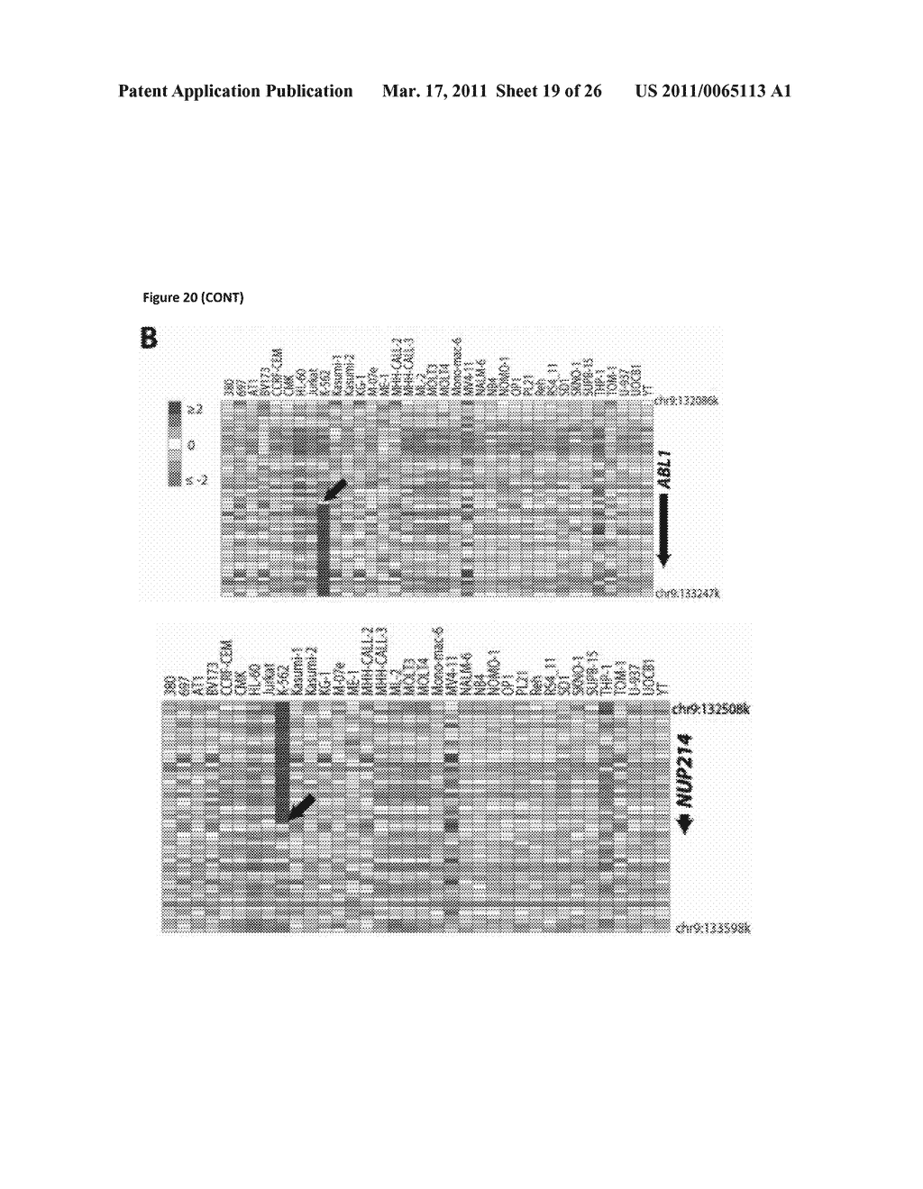 RECURRENT GENE FUSIONS IN PROSTATE CANCER - diagram, schematic, and image 20