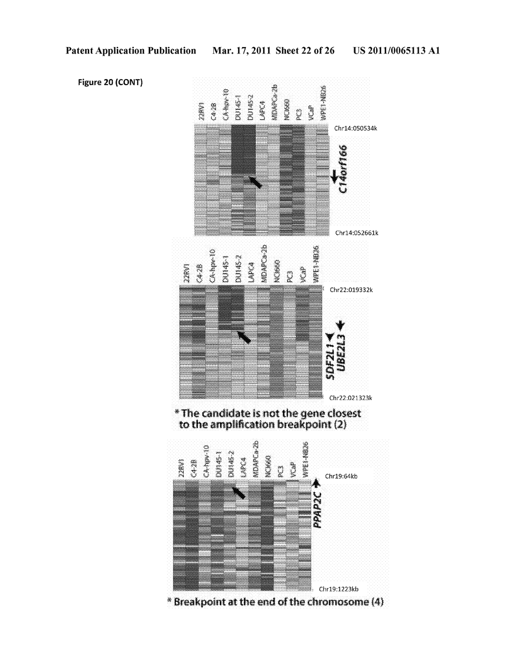 RECURRENT GENE FUSIONS IN PROSTATE CANCER - diagram, schematic, and image 23