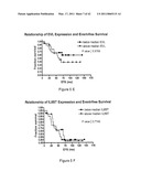 METHODS FOR IDENTIFYING AN INCREASED LIKELIHOOD OF RECURRENCE OF BREAST CANCER diagram and image