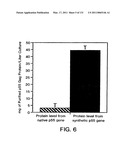 Expression of HIV polypeptides and production of virus-like particles diagram and image