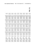 Expression of HIV polypeptides and production of virus-like particles diagram and image