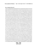 Expression of HIV polypeptides and production of virus-like particles diagram and image