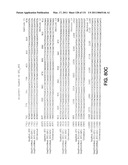 Expression of HIV polypeptides and production of virus-like particles diagram and image