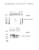 Expression of HIV polypeptides and production of virus-like particles diagram and image