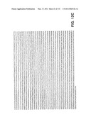 Expression of HIV polypeptides and production of virus-like particles diagram and image