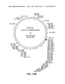 Expression of HIV polypeptides and production of virus-like particles diagram and image