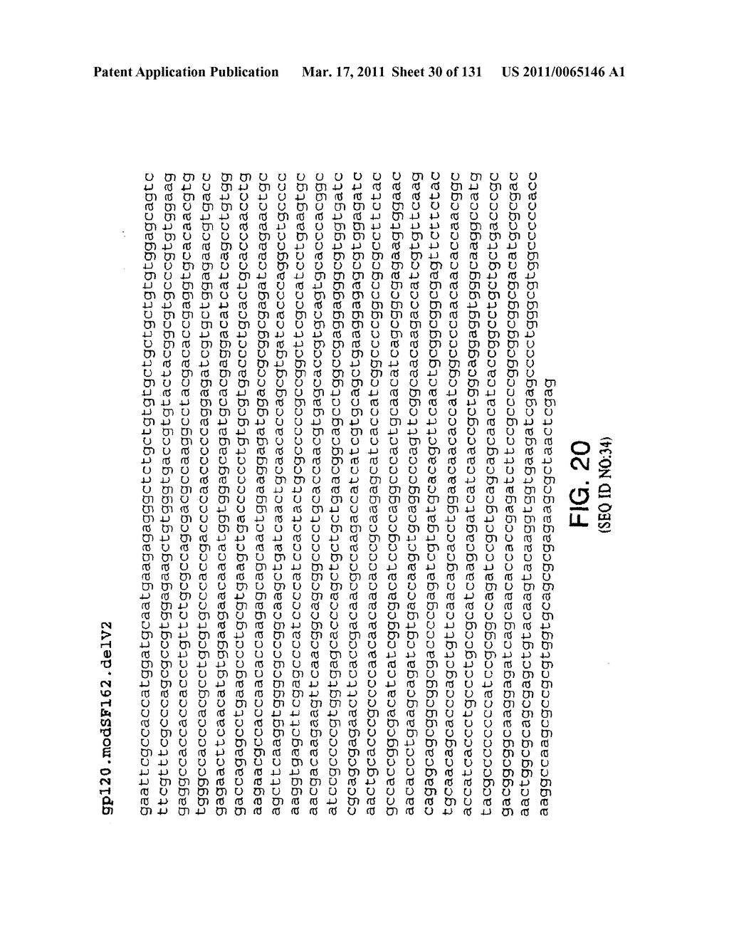 Expression of HIV polypeptides and production of virus-like particles - diagram, schematic, and image 31