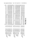 Expression of HIV polypeptides and production of virus-like particles diagram and image