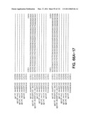 Expression of HIV polypeptides and production of virus-like particles diagram and image