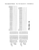 Expression of HIV polypeptides and production of virus-like particles diagram and image