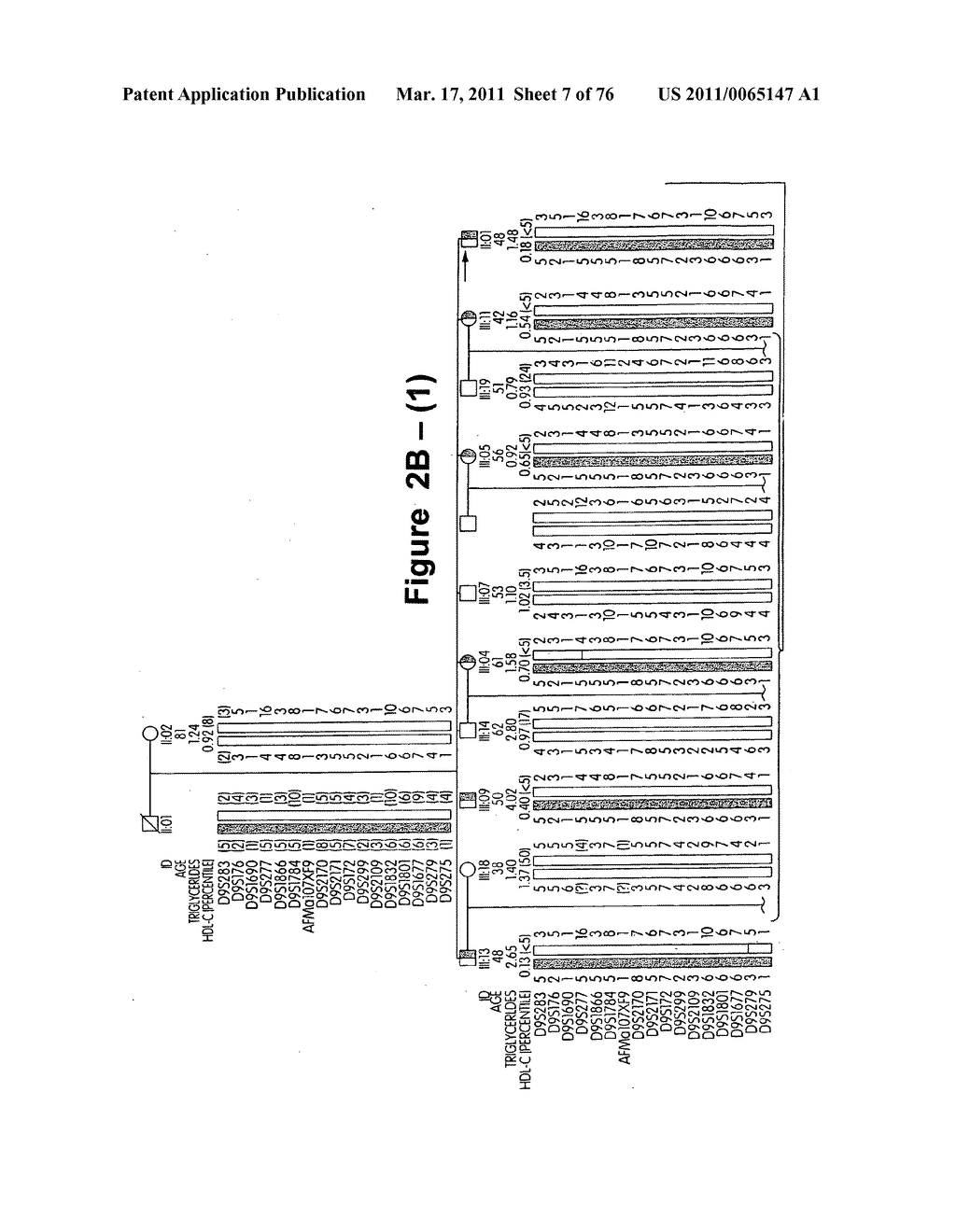 Methods and reagents for modulating cholesterol levels - diagram, schematic, and image 08