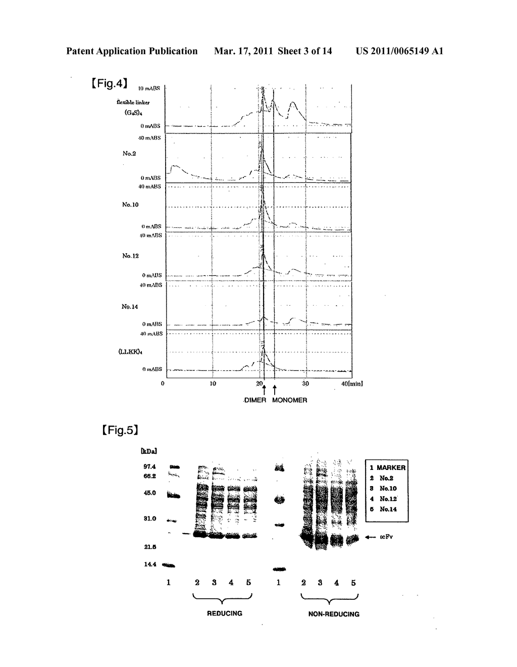 METHOD OF PRODUCING FUSED PROTEIN - diagram, schematic, and image 04