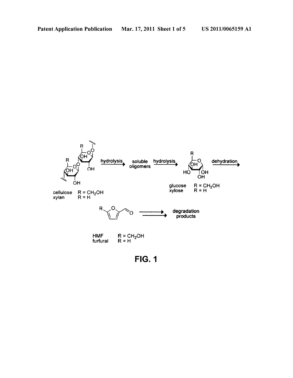 BIOMASS HYDROLYSIS - diagram, schematic, and image 02