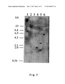 Novel Collectin diagram and image