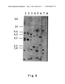 Novel Collectin diagram and image