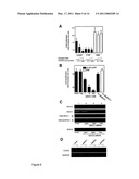 Lacritin-Syndecan Interactions diagram and image