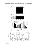 Lacritin-Syndecan Interactions diagram and image