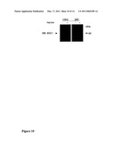 Lacritin-Syndecan Interactions diagram and image