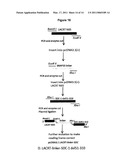 Lacritin-Syndecan Interactions diagram and image