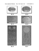 COMBINATORIAL MULTIDOMAIN MESOPOROUS CHIPS AND A METHOD FOR FRACTIONATION, STABILIZATION, AND STORAGE OF BIOMOLECULES diagram and image