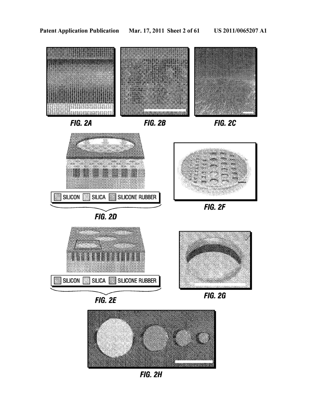 COMBINATORIAL MULTIDOMAIN MESOPOROUS CHIPS AND A METHOD FOR FRACTIONATION, STABILIZATION, AND STORAGE OF BIOMOLECULES - diagram, schematic, and image 03