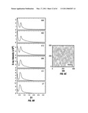 COMBINATORIAL MULTIDOMAIN MESOPOROUS CHIPS AND A METHOD FOR FRACTIONATION, STABILIZATION, AND STORAGE OF BIOMOLECULES diagram and image