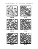 COMBINATORIAL MULTIDOMAIN MESOPOROUS CHIPS AND A METHOD FOR FRACTIONATION, STABILIZATION, AND STORAGE OF BIOMOLECULES diagram and image