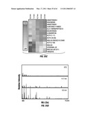 COMBINATORIAL MULTIDOMAIN MESOPOROUS CHIPS AND A METHOD FOR FRACTIONATION, STABILIZATION, AND STORAGE OF BIOMOLECULES diagram and image