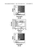 COMBINATORIAL MULTIDOMAIN MESOPOROUS CHIPS AND A METHOD FOR FRACTIONATION, STABILIZATION, AND STORAGE OF BIOMOLECULES diagram and image