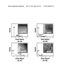 COMBINATORIAL MULTIDOMAIN MESOPOROUS CHIPS AND A METHOD FOR FRACTIONATION, STABILIZATION, AND STORAGE OF BIOMOLECULES diagram and image