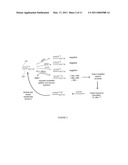 SENSOR ARRAYS AND NUCLEIC ACID SEQUENCING APPLICATIONS diagram and image