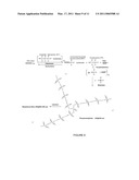 SENSOR ARRAYS AND NUCLEIC ACID SEQUENCING APPLICATIONS diagram and image