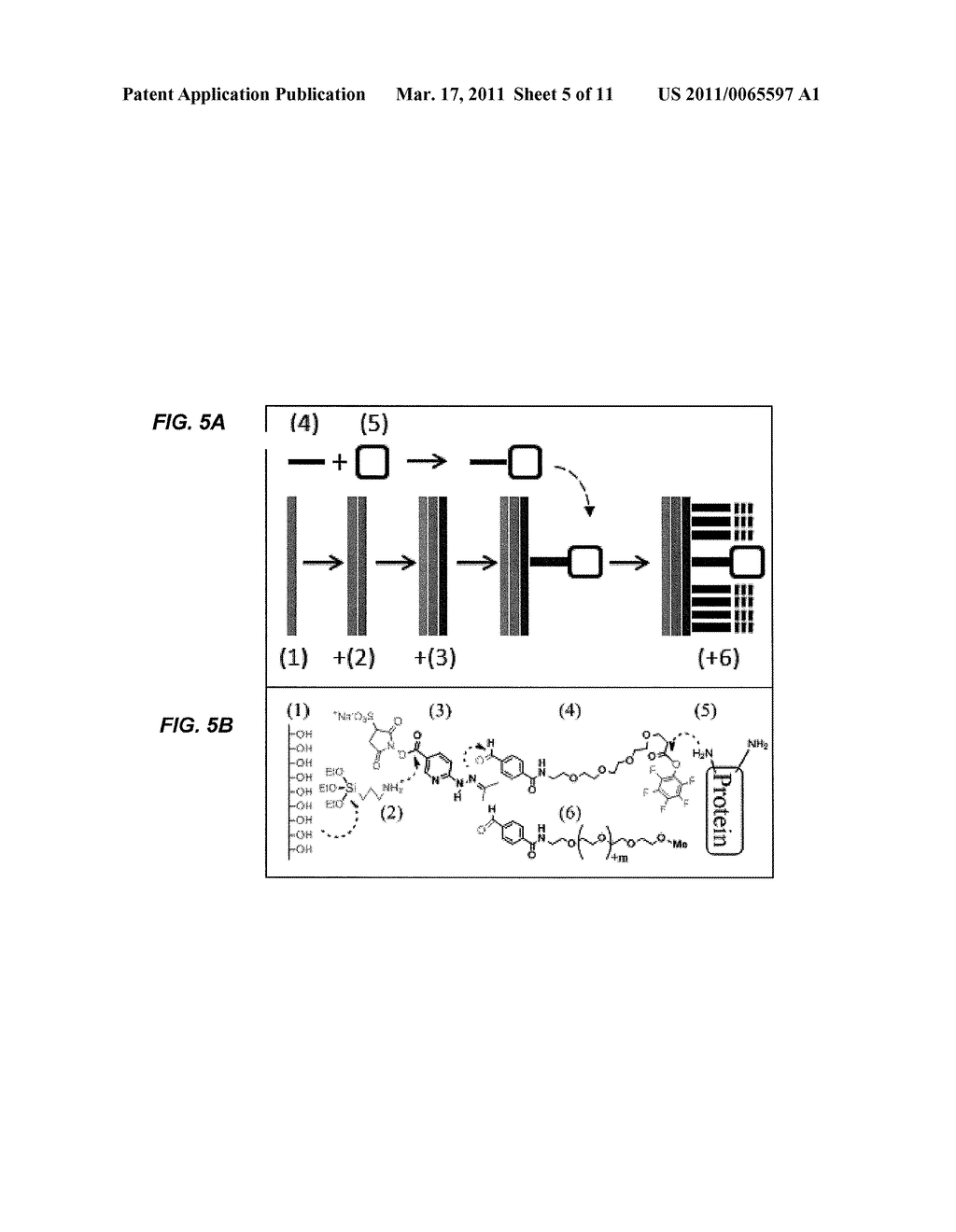 SINGLE MOLECULE PROTEOMICS WITH DYNAMIC PROBES - diagram, schematic, and image 06