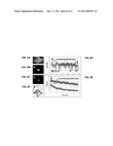 SINGLE MOLECULE PROTEOMICS WITH DYNAMIC PROBES diagram and image