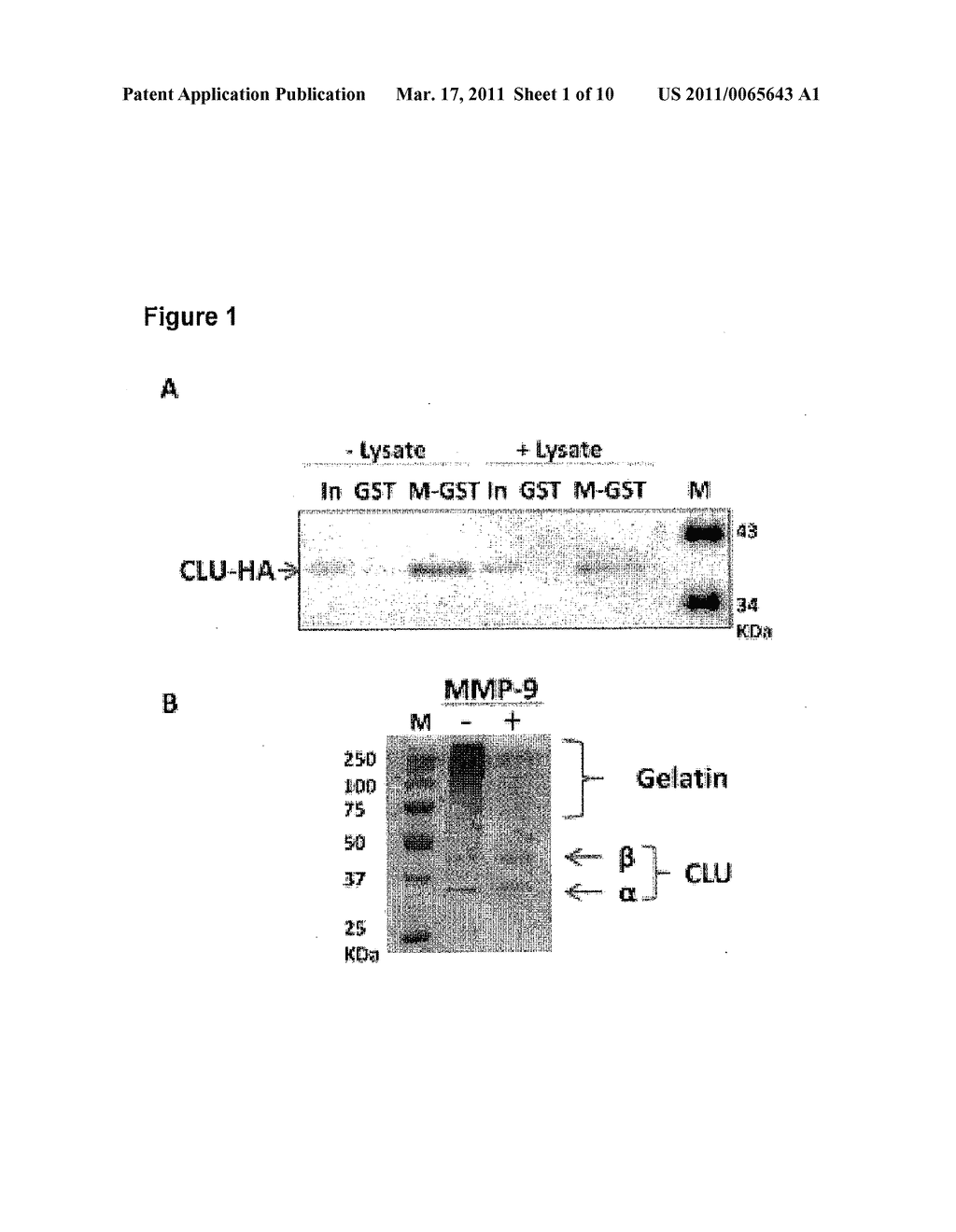 Clusterin Pharmaceuticals and Treatment Methods Using the Same - diagram, schematic, and image 02