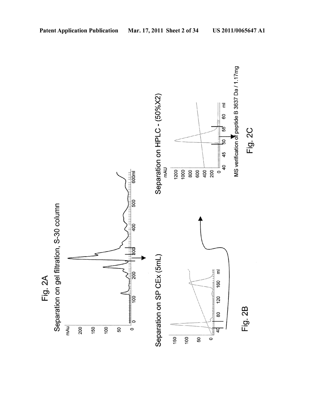 NOVEL PEPTIDES ISOLATED FROM SPIDER VENOM, AND USES THEREOF - diagram, schematic, and image 03