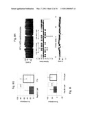 NOVEL PEPTIDES ISOLATED FROM SPIDER VENOM, AND USES THEREOF diagram and image