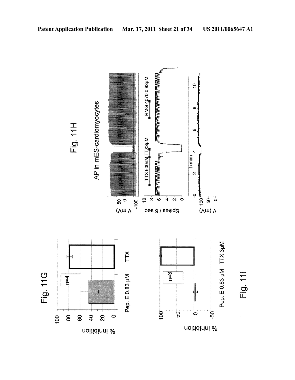 NOVEL PEPTIDES ISOLATED FROM SPIDER VENOM, AND USES THEREOF - diagram, schematic, and image 22