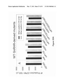 PHARMACOPERONES FOR CORRECTING DISEASE STATES INVOLVING PROTEIN MISFOLDING diagram and image