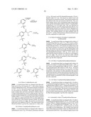 AMIDE COMPOUNDS, COMPOSITIONS AND USES THEREOF diagram and image