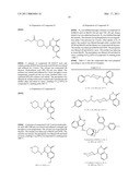 PHTHALAZINE DERIVATIVES AS PARP INHIBITORS diagram and image