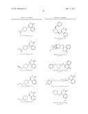 PHTHALAZINE DERIVATIVES AS PARP INHIBITORS diagram and image