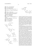 AURORA KINASE MODULATORS AND METHOD OF USE diagram and image