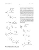 AURORA KINASE MODULATORS AND METHOD OF USE diagram and image