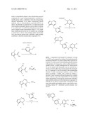 AURORA KINASE MODULATORS AND METHOD OF USE diagram and image