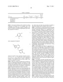 AURORA KINASE MODULATORS AND METHOD OF USE diagram and image