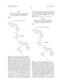 SUBSTITUTED TRIAZOLO-PYRIDAZINE DERIVATIVES diagram and image